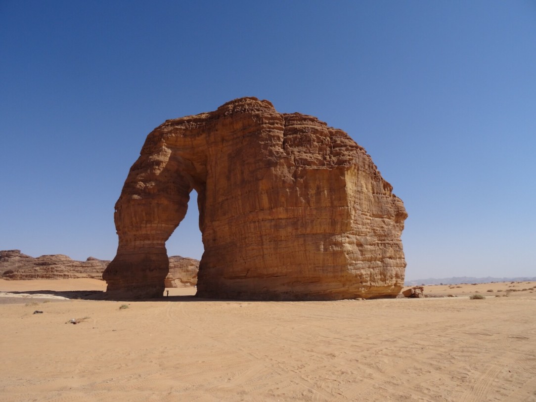 cc519b22-9469-456d-9f5f-0f0af051ed3b